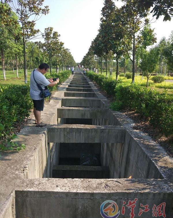 网传汉江崔家营航电枢纽无鱼道消息不实,鱼道总长487.2米|汉江|崔家营|枢纽_新浪新闻