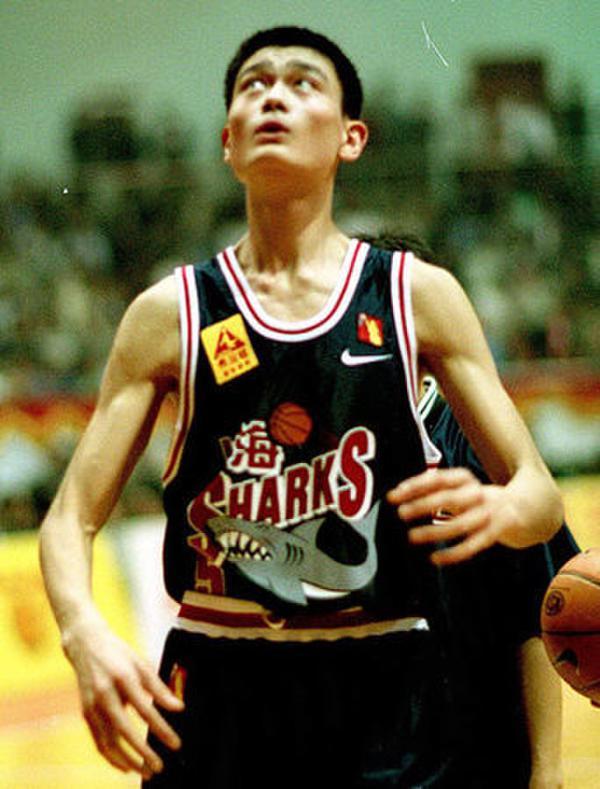 美网友评姚明四大创史记录,最后一个堪称羞辱让中国球迷抱不平!