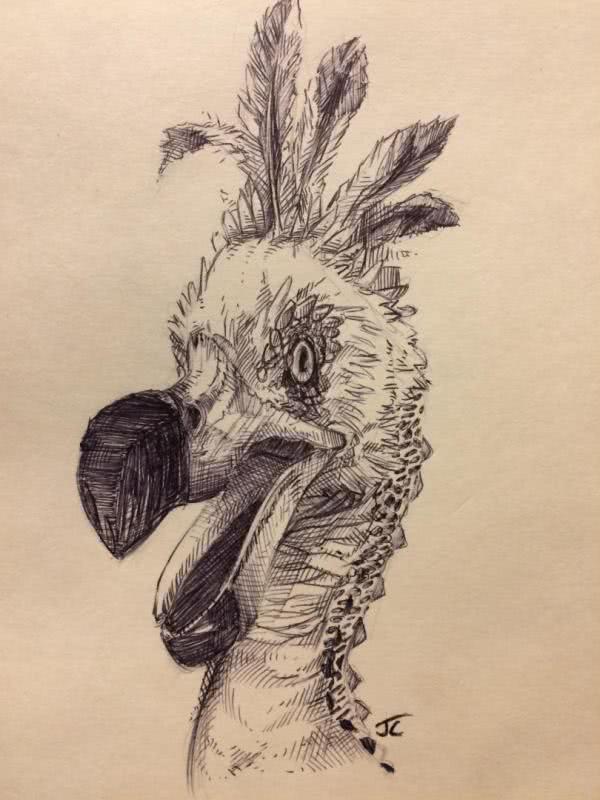 怪物猎人世界玩家才气爆棚展现高超生态素描