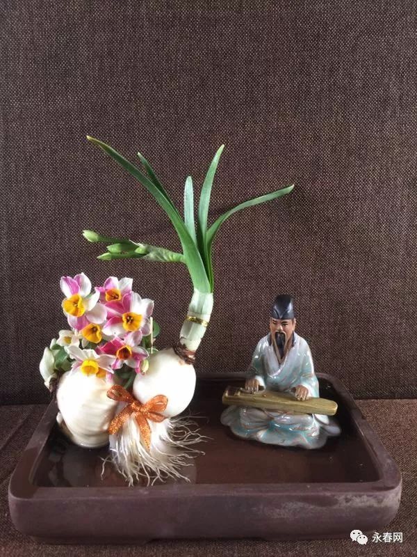 这个永春人老厉害了!他雕刻的水仙花作品刷爆朋友圈!一起来欣赏吧
