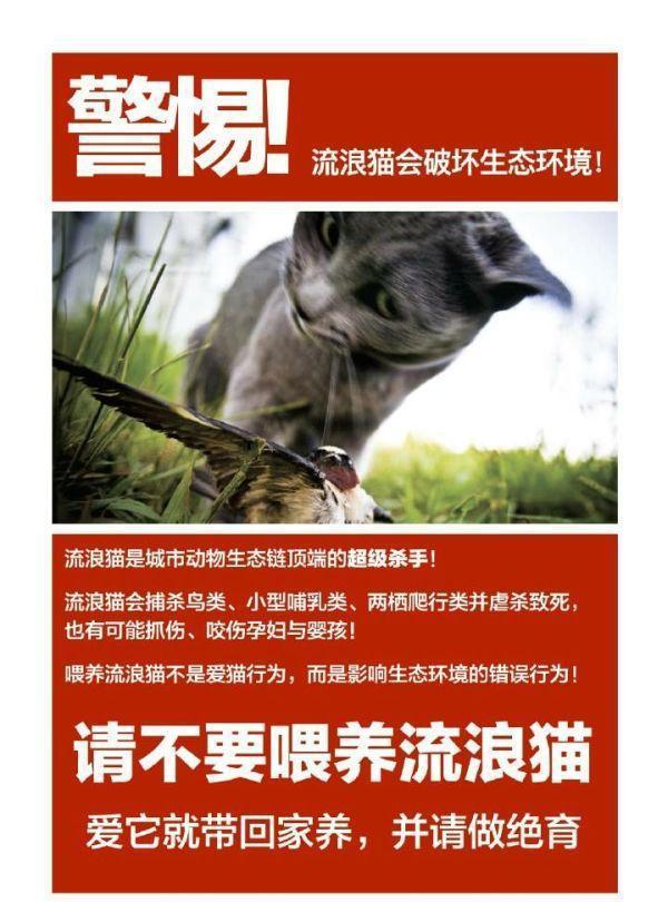 请不要随便喂养流浪猫了,爱猫就带它回家吧!