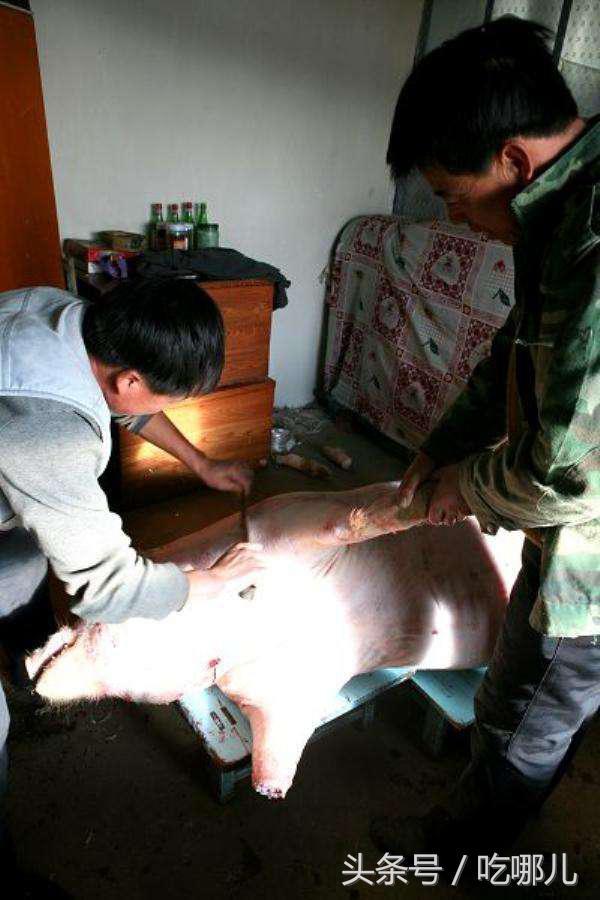 回到家后,正好赶上婆婆杀猪,这个洋媳妇也是人生中第一次见到杀猪