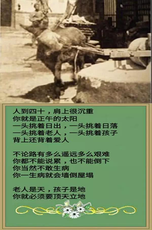 扎心了|扎心|岁月|无奈_新浪新闻