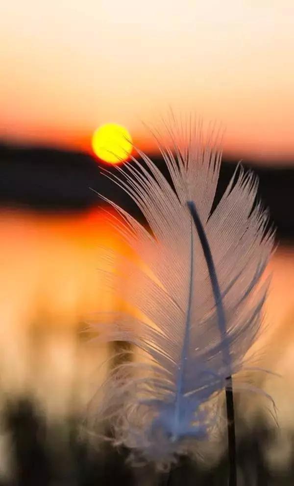 活着就该微笑走着就该坚强