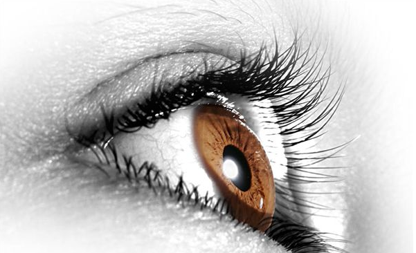 告诉你世界上自然瞳孔的颜色一共有几种