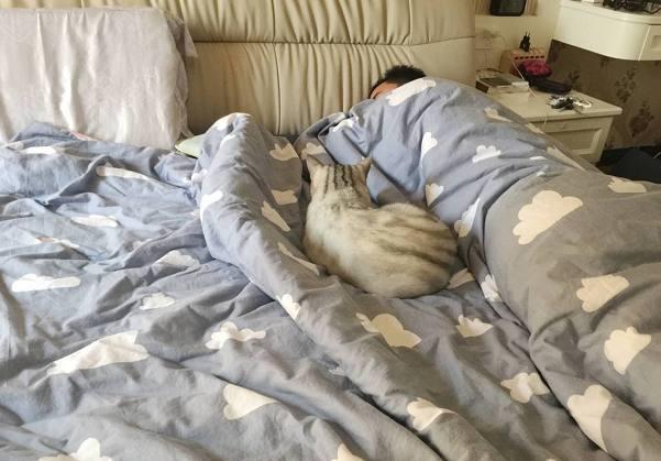 猫咪趁主人睡觉时钻进被窝,没想到发生这样的事,喵的表情亮了!