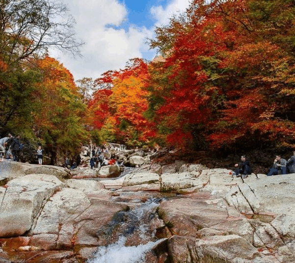 四川的巴中是四川最穷的市吗? 为什么就是发展