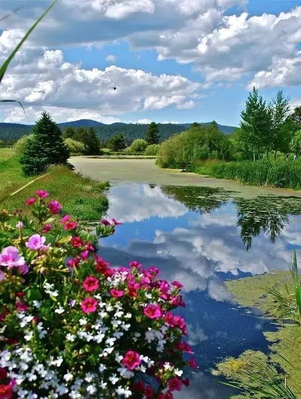 刚出的,太美太漂亮了,放在圈子里,醉倒一批人!
