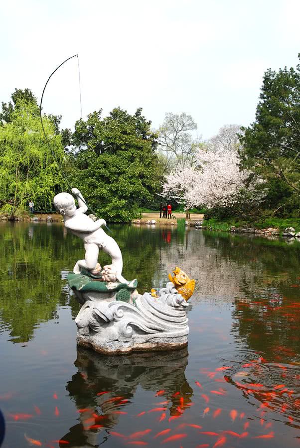 西湖十景之花港观鱼——一个不只有鱼的景区!