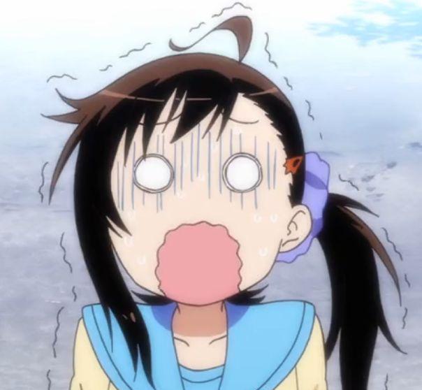 性格活泼,小野寺小咲的妹妹,十分恋姐.