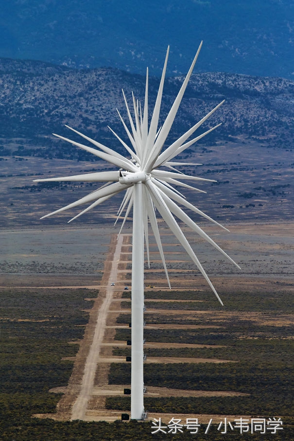 10幅很"巧合"的图片,能拍到需要莫大的"运气"