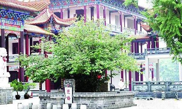 vhao.net能够围绕