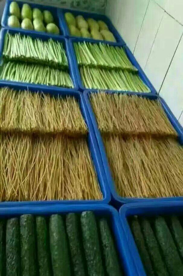 部队食堂简直就是强迫症的天堂