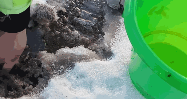 小猫踩到水坑而遭冰封!所幸这对情侣经过,成功抢救一条小生命