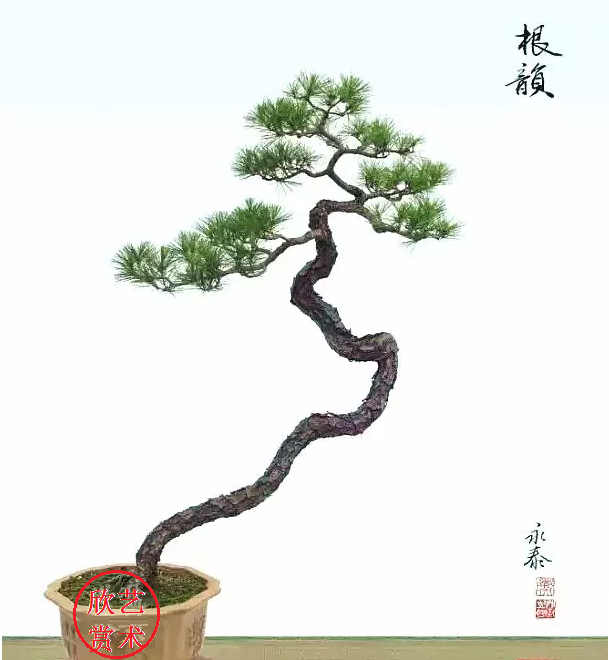 新年鑑賞|文人樹並不是盆景型式,而是一種具有文人格調的盆景!