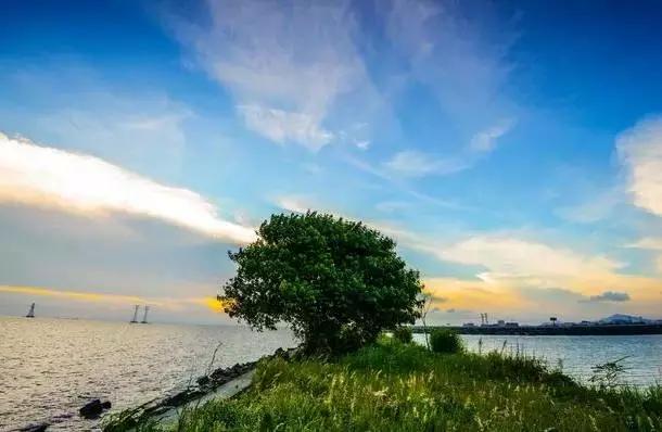 深圳最美5大拍照好去处,去的都是漂亮妹纸!