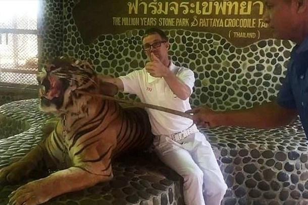 为让游客拍出虎啸合影 工作人员频繁戳老虎脸