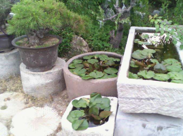 养鱼牛槽的这个作用是小编在伯伯家看到的,伯伯因为年纪大了已经没有