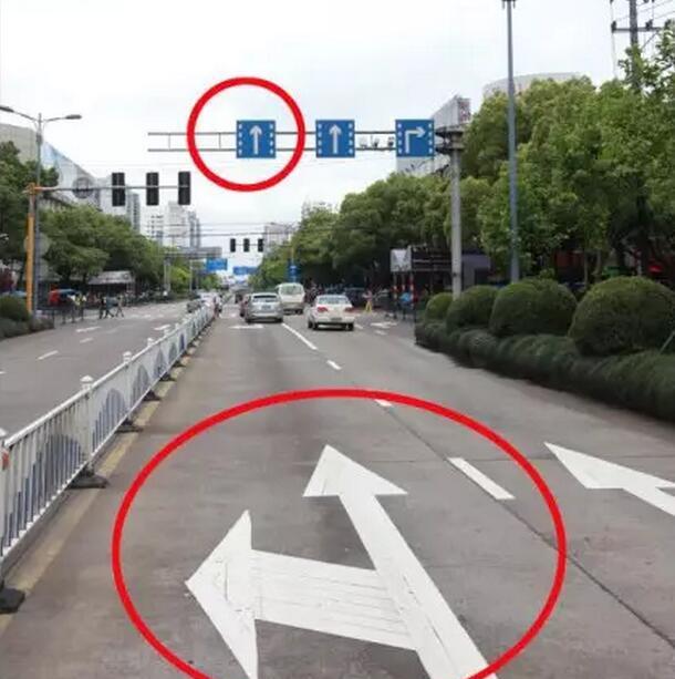 因标线标志冲突造成的交通违法