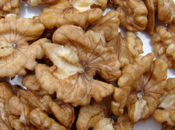 核桃补脑是假的,能治白发是真的,坚持每天这样吃,白发自然变黑