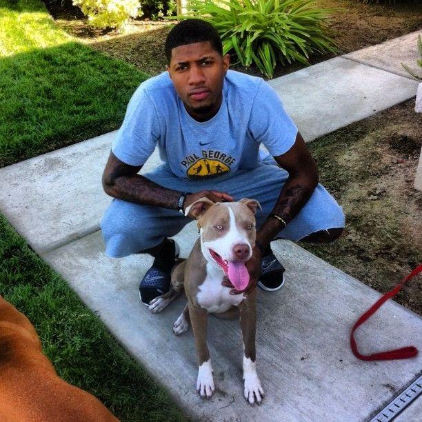 nba的撸狗达人汤神为爱犬抛弃库里乔治的狗叫科比