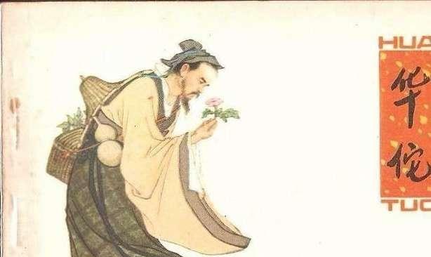 穿越之神医王妃