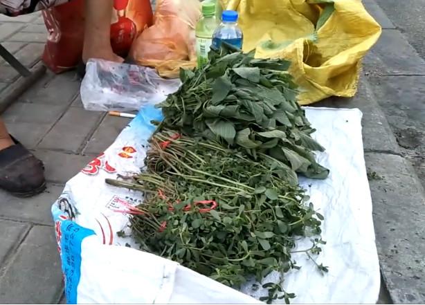 几把青草,几把野菜,平放在一口袋上面,旁边放着两瓶水,这就是一个菜摊