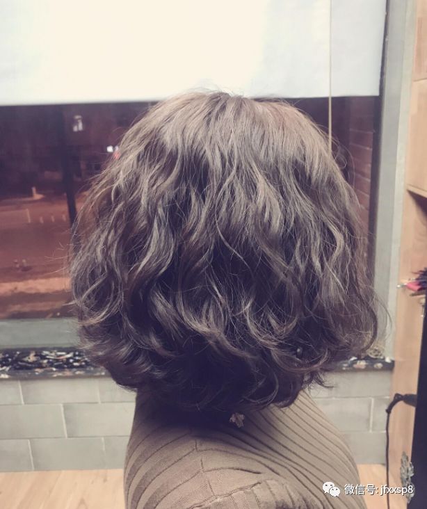 狗年流行"泰迪卷|泰迪|发型|毛发_新浪新闻