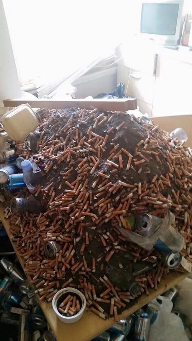 这个房间里到底经历了什么,各国宅男自愧不如,场面真是辣眼睛