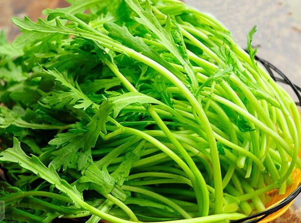冬天独有的"皇帝菜",降压补脑,清血管,养心肺,不吃就亏大了|茼蒿|皇帝