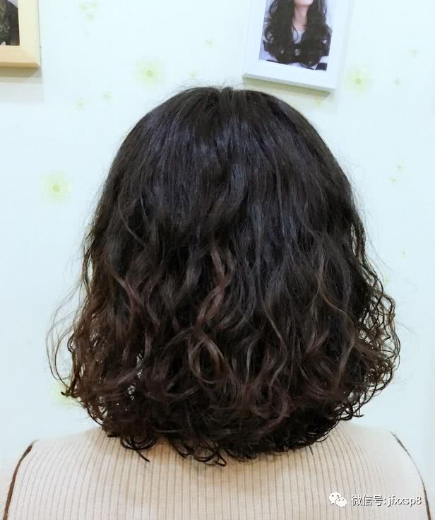 狗年流行"泰迪卷