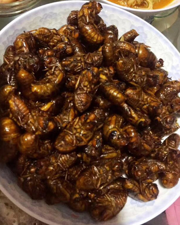 第三名:烤蟑螂,烤蝉,烤水蛇是柬埔寨当地人最爱.这口味不是一般的重.
