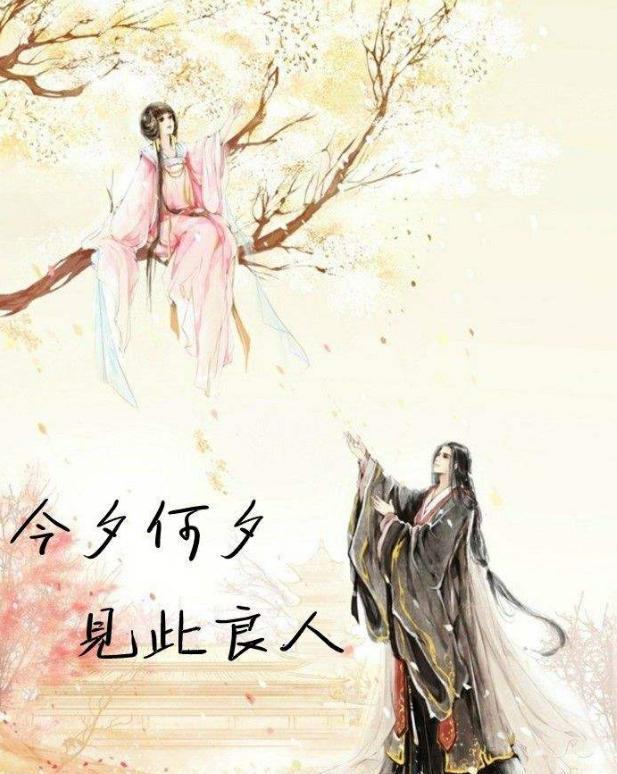 今夕何夕,见此良人.