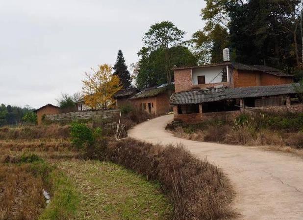 初次带男友回农村老家,表姐告诉他一个秘密,吓得他立马逃走