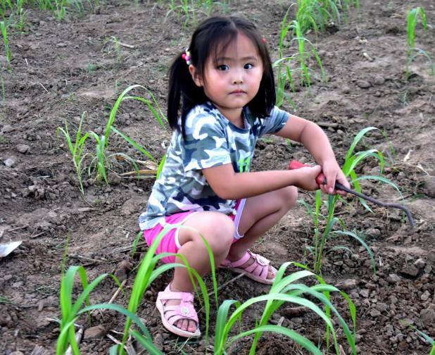 农村的孩子早当家,从小就懂事帮家里干活!