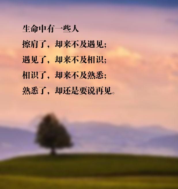 也不曾惋惜相识,不论是悲是喜,感谢曾经陪伴|惋惜|自然|缘分_新浪新闻