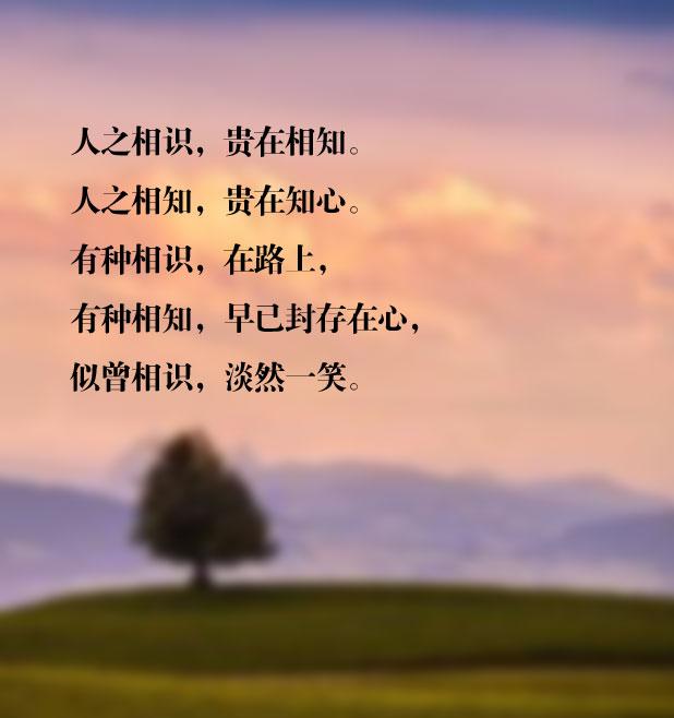 不曾后悔相遇,也不曾惋惜相识,不论是悲是喜,感谢曾经陪伴