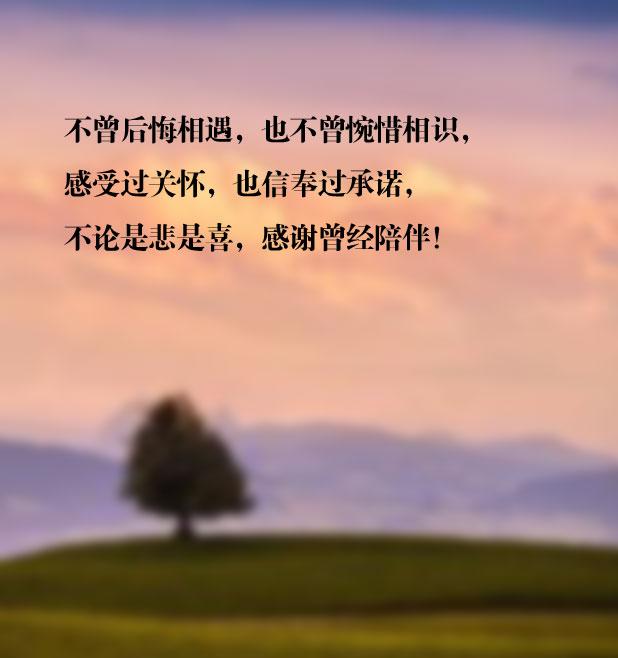 不曾后悔相遇,也不曾惋惜相识,不论是悲是喜,感谢曾经陪伴