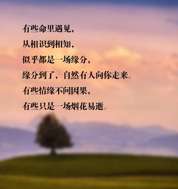 不曾后悔相遇,也不曾惋惜相识,不论是悲是喜,感谢曾经陪伴