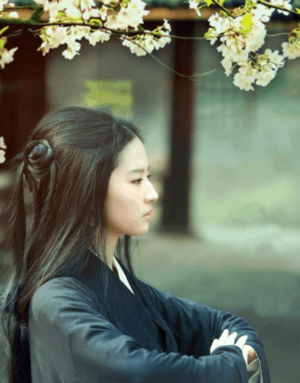 饰演过貂蝉的几位女星, 刘亦菲气质清冷, 古力娜