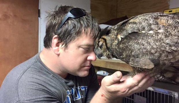 我很想你猫头鹰碰到救命恩人叔叔马上展开双翅扑过去拥抱