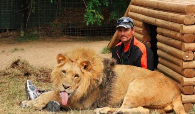腊肠狗,突然冲进猛兽区,狮子靠近时旁观者全部又惊又喜!