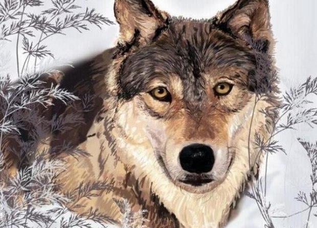 老猎户怒杀饿狼,却找到丢失的孙女,想清楚真相后老泪纵横