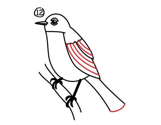 8种常见飞鸟类育儿简笔画开发宝宝智力简单又好画