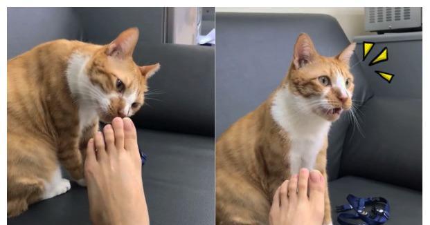 哪10个品牌的鞋子具有不臭脚的特性 哪些材质的鞋子不会臭脚