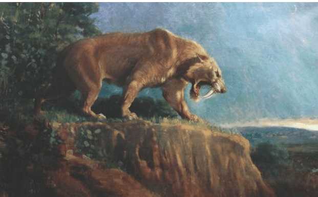 它是狮子的祖先身长27米体重350公斤两种原因让其灭绝