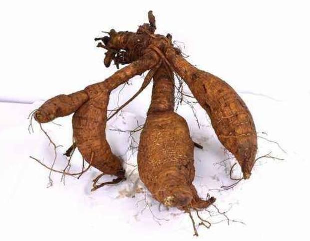 这种野草生长在农村, 卖到国外后却成了人参, 如今价格越来越贵!