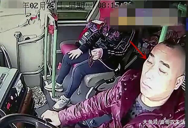 高速上男子梦游睡觉开车一车人死伤过重司机却为了200元钱