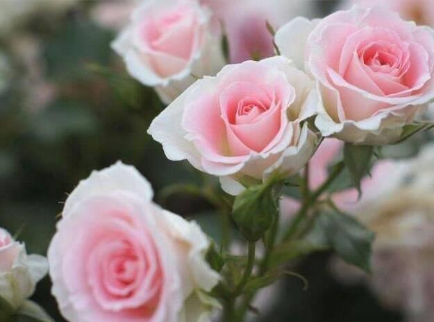 适合发朋友圈说说的心情句子 逗逼又扎心总有