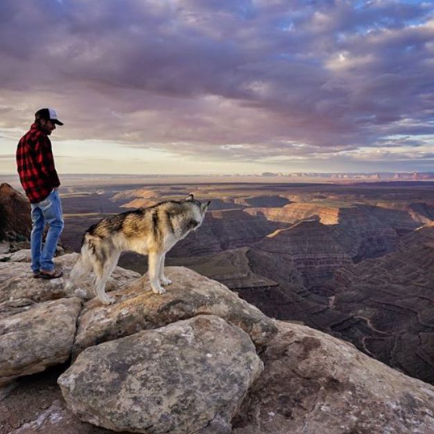 徐徐的微风,思考一下人生这位小哥表示,狗狗们天生就是属于大自然的